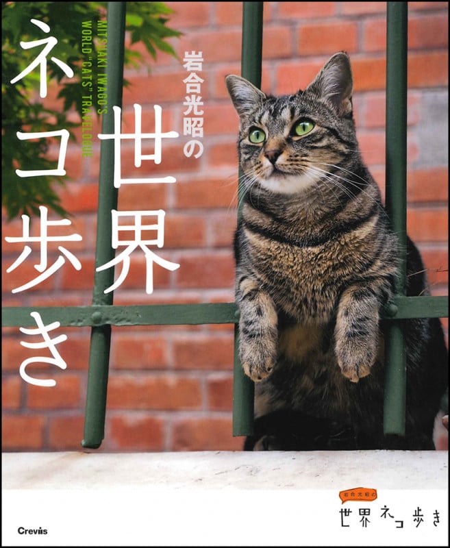 写真集 岩合光昭の世界ネコ歩き