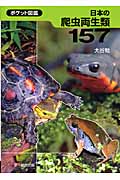日本の爬虫両生類157
