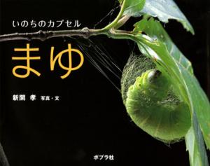 いのちのカプセル まゆ (ふしぎいっぱい写真絵本 12)