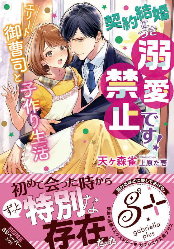契約結婚につき溺愛禁止です! エリート御曹司と子作り生活 (ガブリエラ文庫プラス)