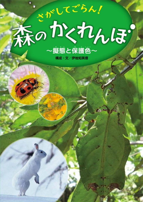 さがしてごらん!森のかくれんぼ 擬態と保護色