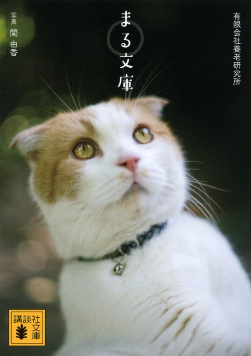 まる文庫 (講談社文庫)