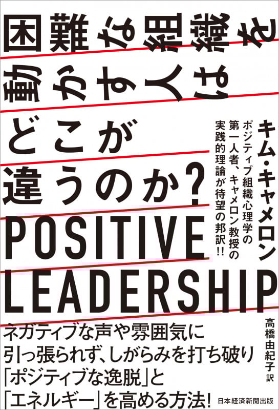 困難な組織を動かす人はどこが違うのか? Positive Leadership