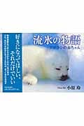 流氷の物語 アザラシの赤ちゃん