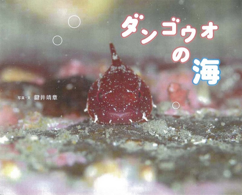 ダンゴウオの海 (ふしぎびっくり写真えほん)