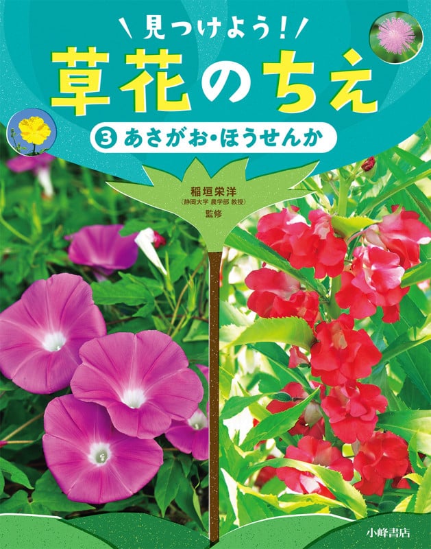 あさがお・ほうせんか (見つけよう! 草花のちえ 3)
