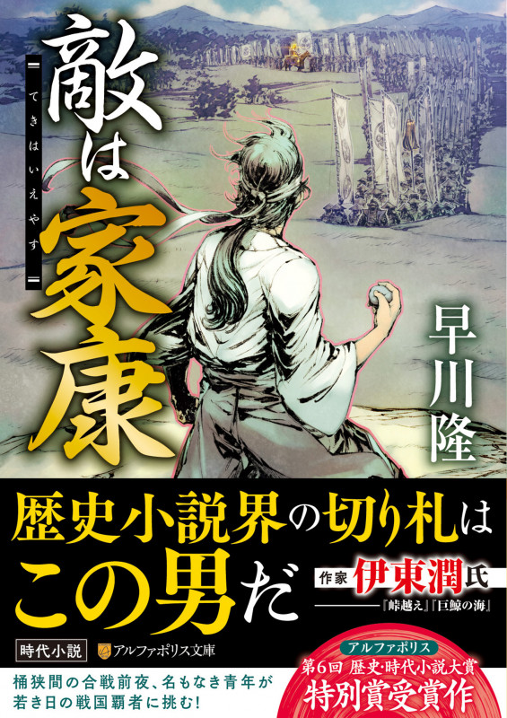 敵は家康 (アルファポリス文庫)