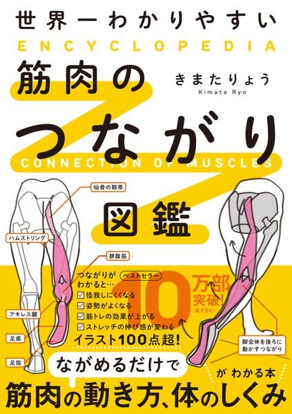 世界一わかりやすい 筋肉のつながり図鑑