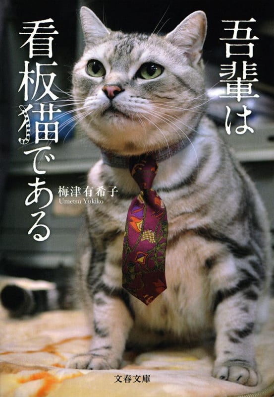 吾輩は看板猫である (文春文庫)