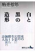 白と黒の造形 (講談社文芸文庫)