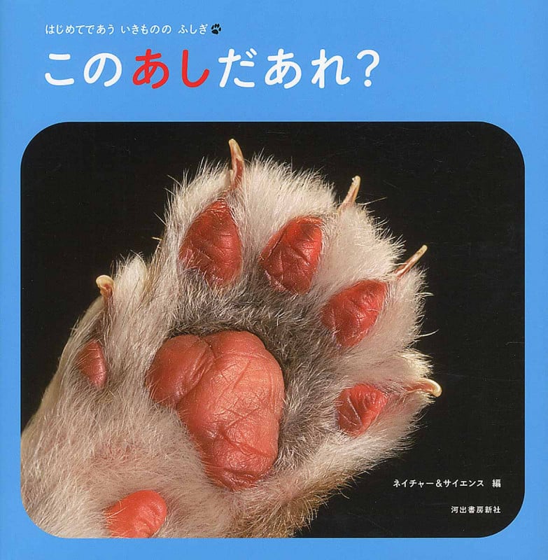 このあしだあれ? はじめてであう いきものの ふしぎ