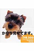 Yorkshire Terrier (THE DOG Photo Book Collection)