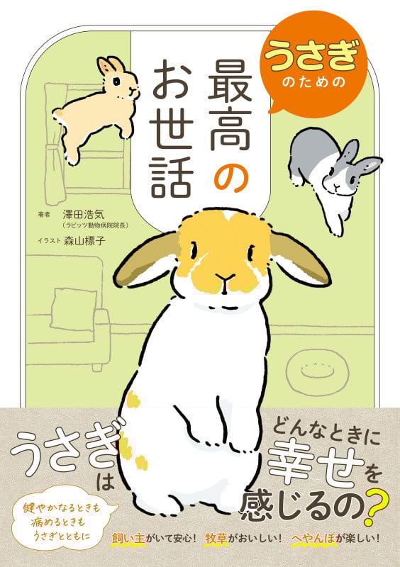 うさぎのための最高のお世話