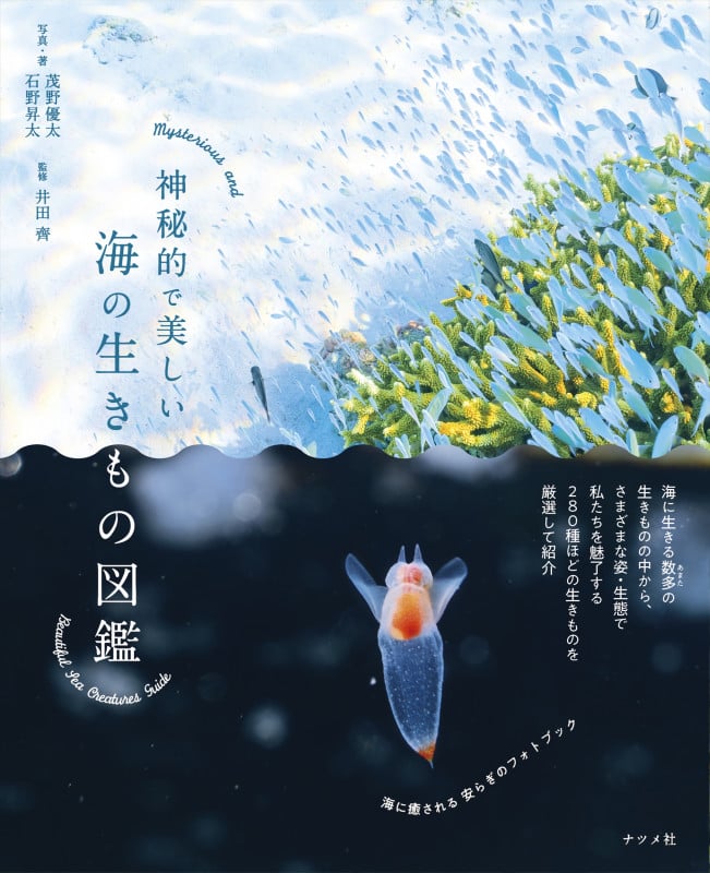 神秘的で美しい海の生きもの図鑑