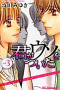 君がウソをついた (3) (デザートKC)