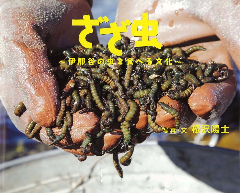 ざざ虫 伊那谷の虫を食べる文化 (ふしぎびっくり写真えほん)