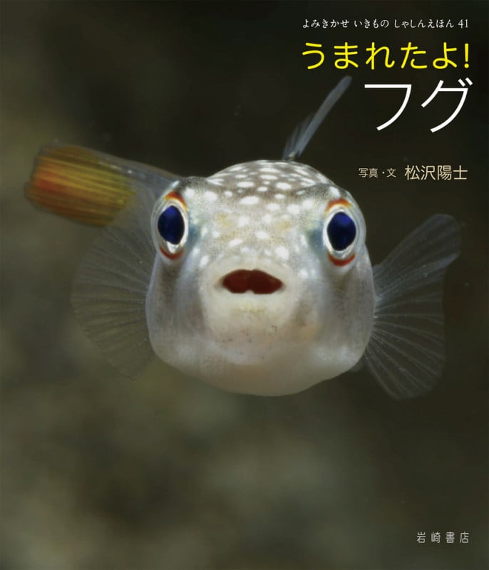 うまれたよ!フグ (よみきかせいきものしゃしんえほん 41)