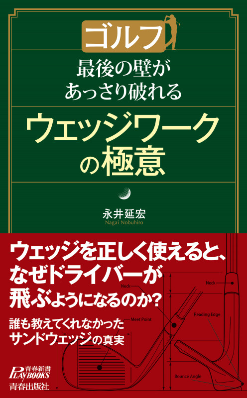 ゴルフ 最後の壁があっさり破れるウェッジワークの極意 (青春新書プレイブックス)