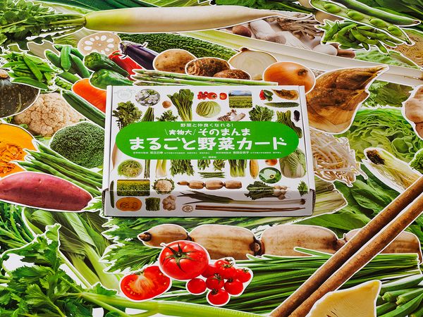 実物大・そのまんま  まるごと野菜カード (群羊社のたのしい食育教材シリーズ)