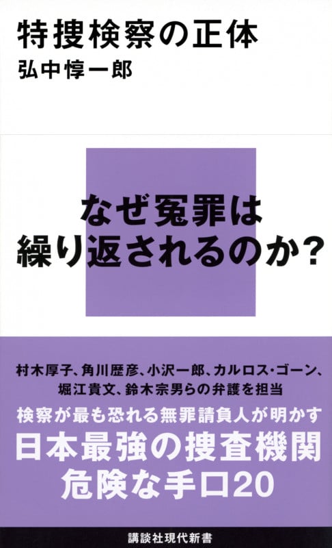 特捜検察の正体 (講談社現代新書 2713)