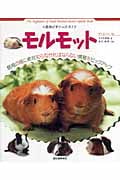 モルモット (小動物ビギナーズガイド)