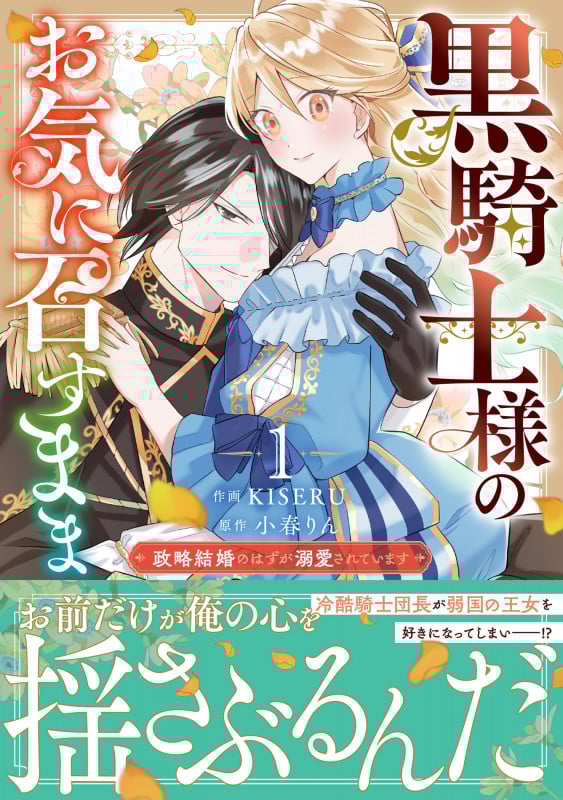 黒騎士様のお気に召すまま~政略結婚のはずが溺愛されています~ 1 (ベリーズファンタジーコミックス)