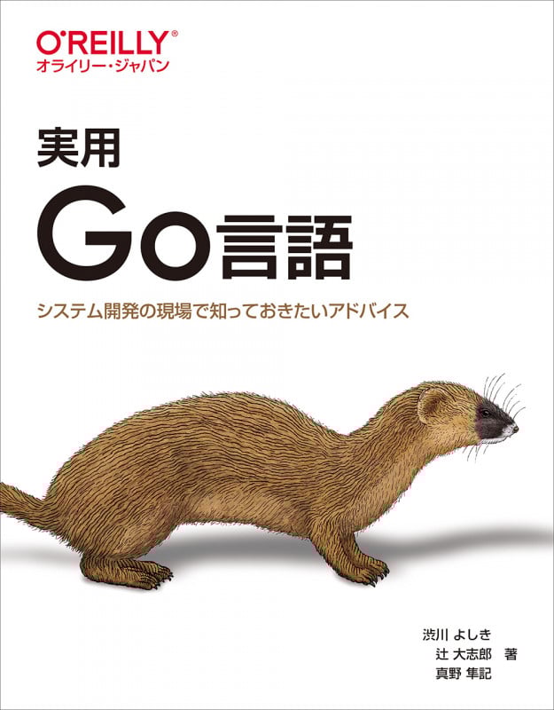 実用 Go言語 システム開発の現場で知っておきたいアドバイス