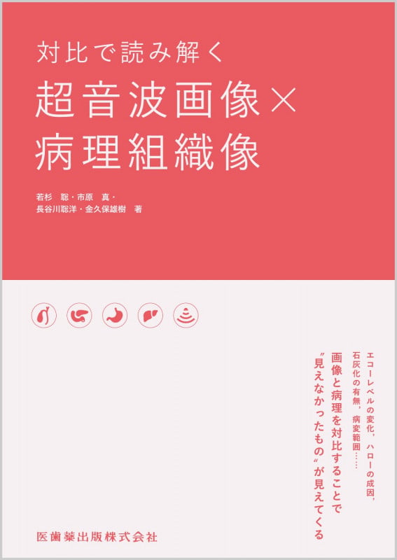 対比で読み解く 超音波画像×病理組織像