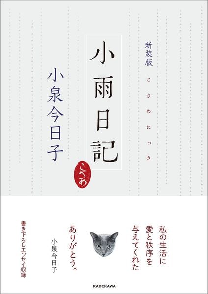 新装版 小雨日記