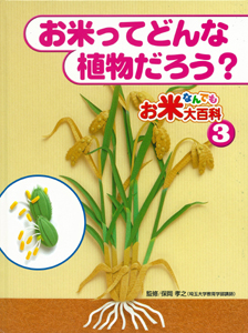 お米なんでも大百科 お米ってどんな植物だろう? (3)