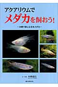 アクアリウムでメダカを飼おう! 水槽で楽しむ日本メダカ