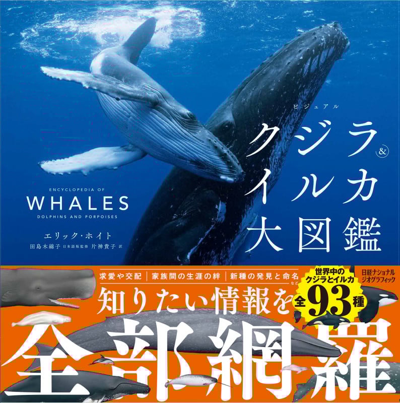 ビジュアル クジラ&イルカ大図鑑