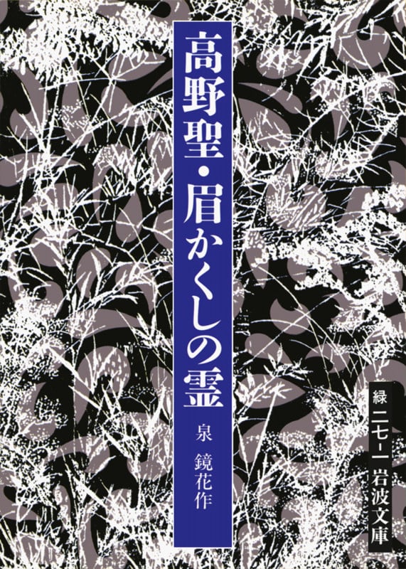 高野聖・眉かくしの霊 (岩波文庫)