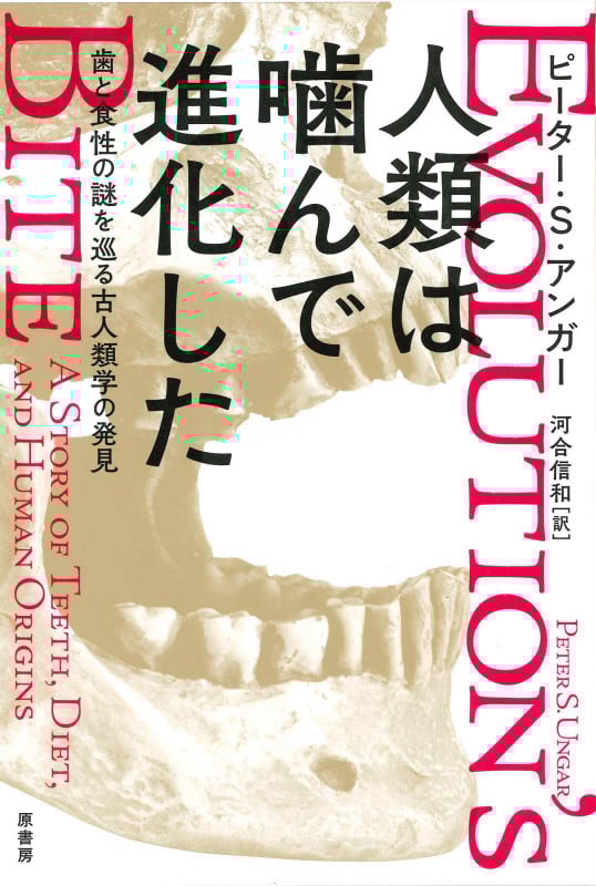 人類は噛んで進化した 歯と食性の謎を巡る古人類学の発見の詳細を見る