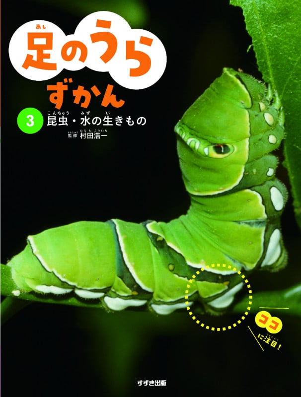 足のうらずかん 3 昆虫・水の生きもの (足のうらずかん)