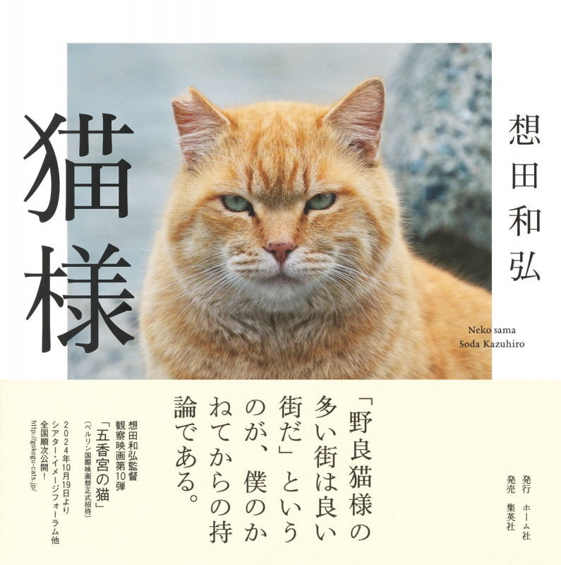 猫様