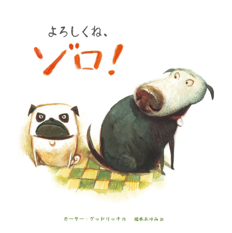 よろしくね、ゾロ!