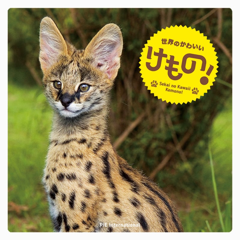世界のかわいいけもの!