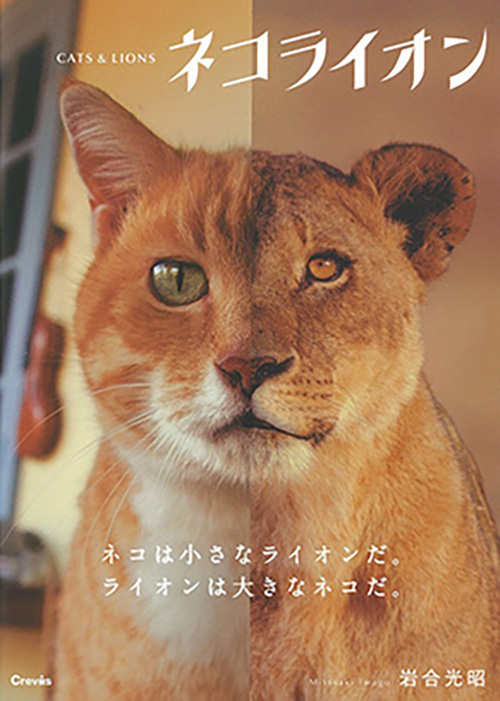 写真集 ネコライオン