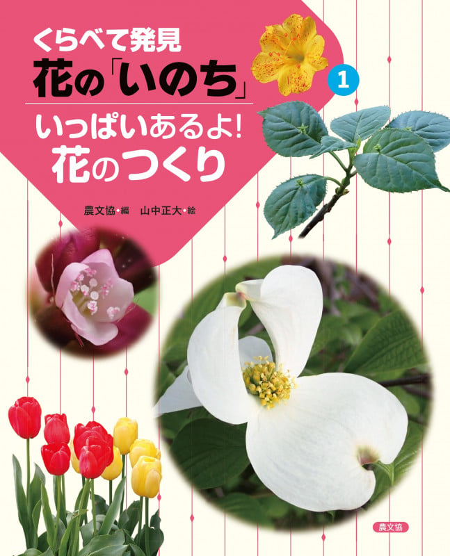 いっぱいあるよ!花のつくり (1) (くらべて発見 花の「いのち」)