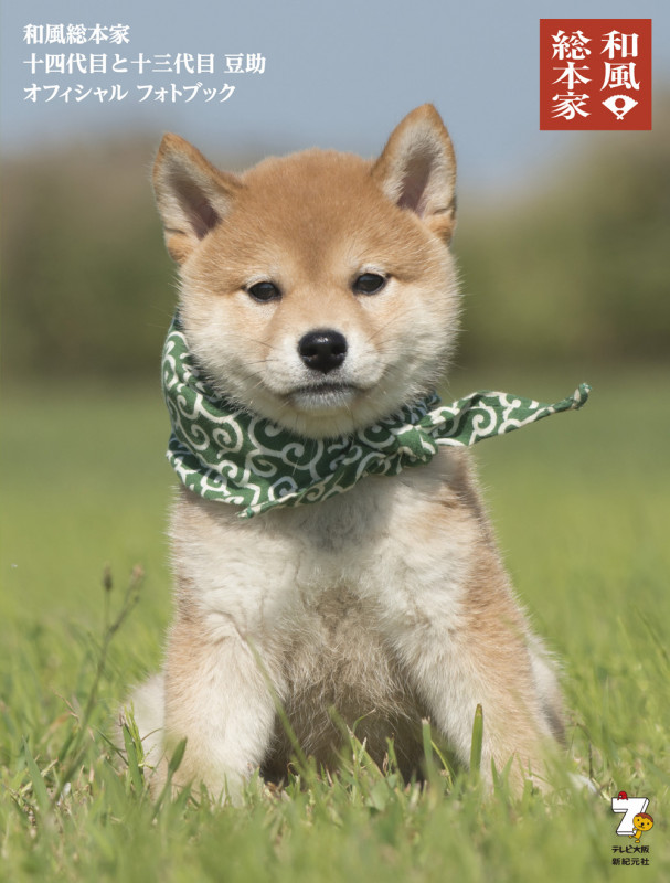 和風総本家十四代目と十三代目 豆助オフィシャルフォトブック
