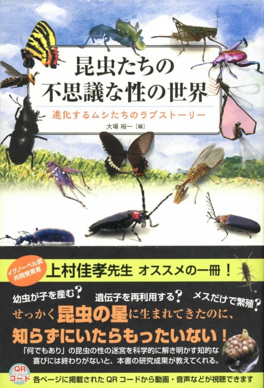 昆虫たちの不思議な性の世界 進化するムシたちのラブストーリー