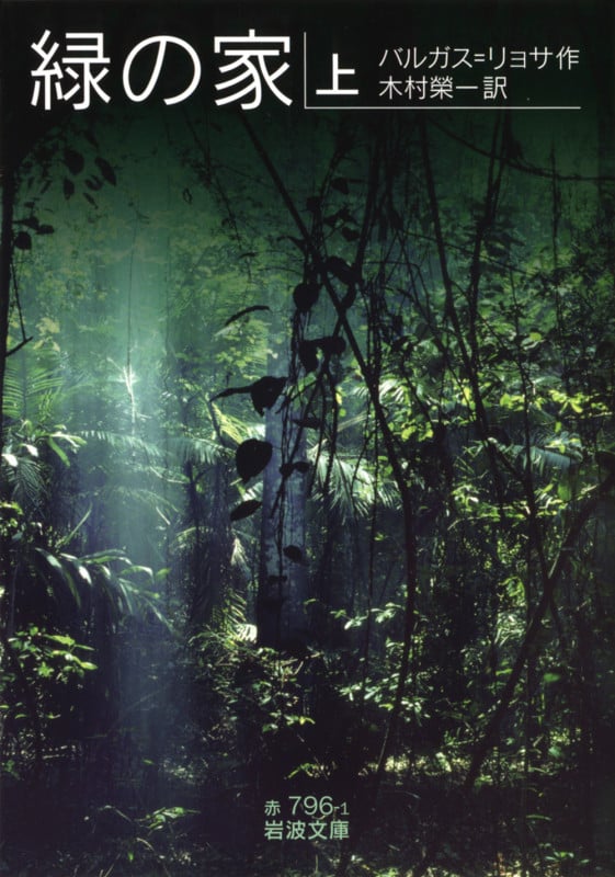 緑の家 上 (岩波文庫 赤796-1)