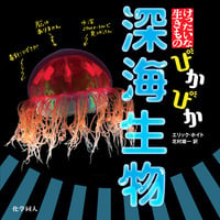 ぴかぴか 深海生物