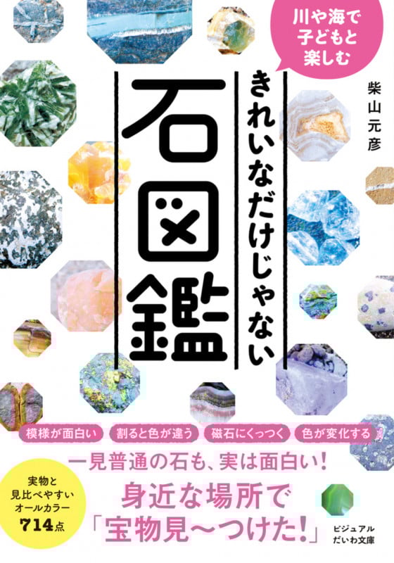 きれいなだけじゃない石図鑑 川や海で子どもと楽しむ (ビジュアルだいわ文庫)