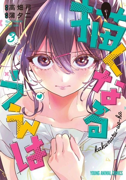 描くなるうえは 3 (ヤングアニマルコミックス)
