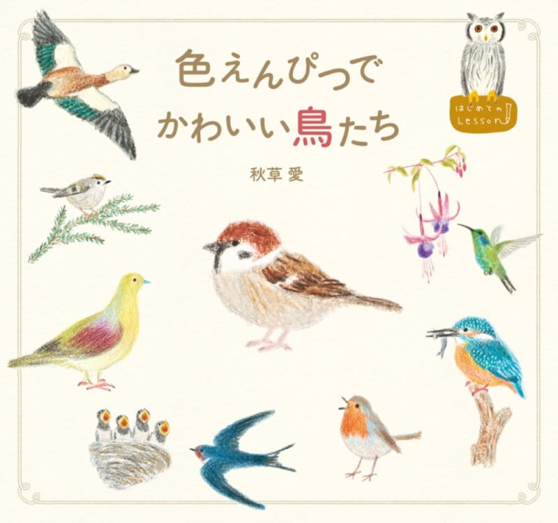 色えんぴつでかわいい鳥たち (はじめてのLesson)