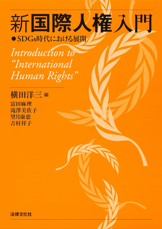 新国際人権入門 SDGs時代における展開