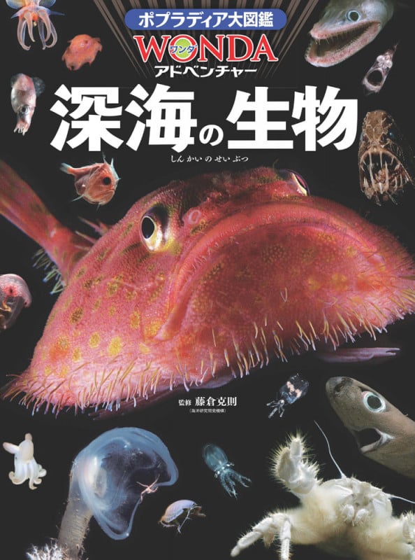 深海の生物 (ポプラディア大図鑑WONDAアドベンチャー)