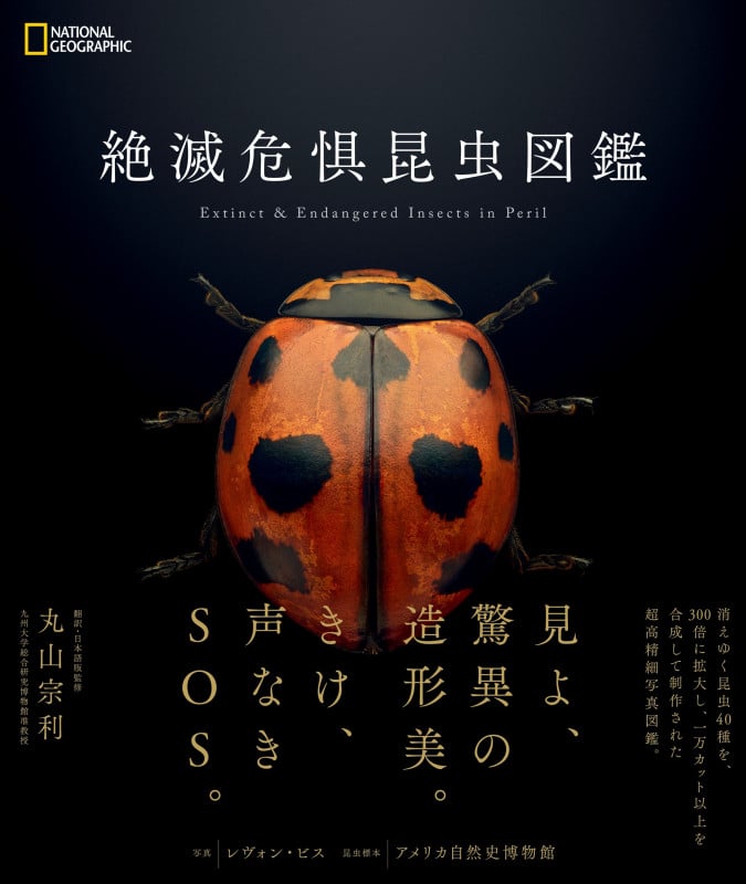 絶滅危惧昆虫図鑑 (NATIONAL GEOGRAPHIC)